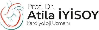 Prof. Dr. Atila İyisoy